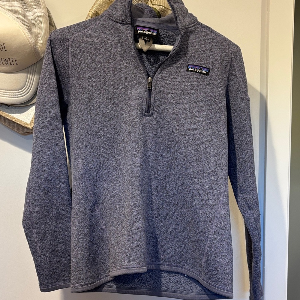 Patagonia Men's Half -Zip Fleece Pullover - Heather Navy Blue